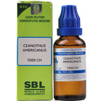 SBL Homeopathy Ceanothus Americanus Dilution