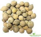 Shudh Online Putrajeevak Beej powder
