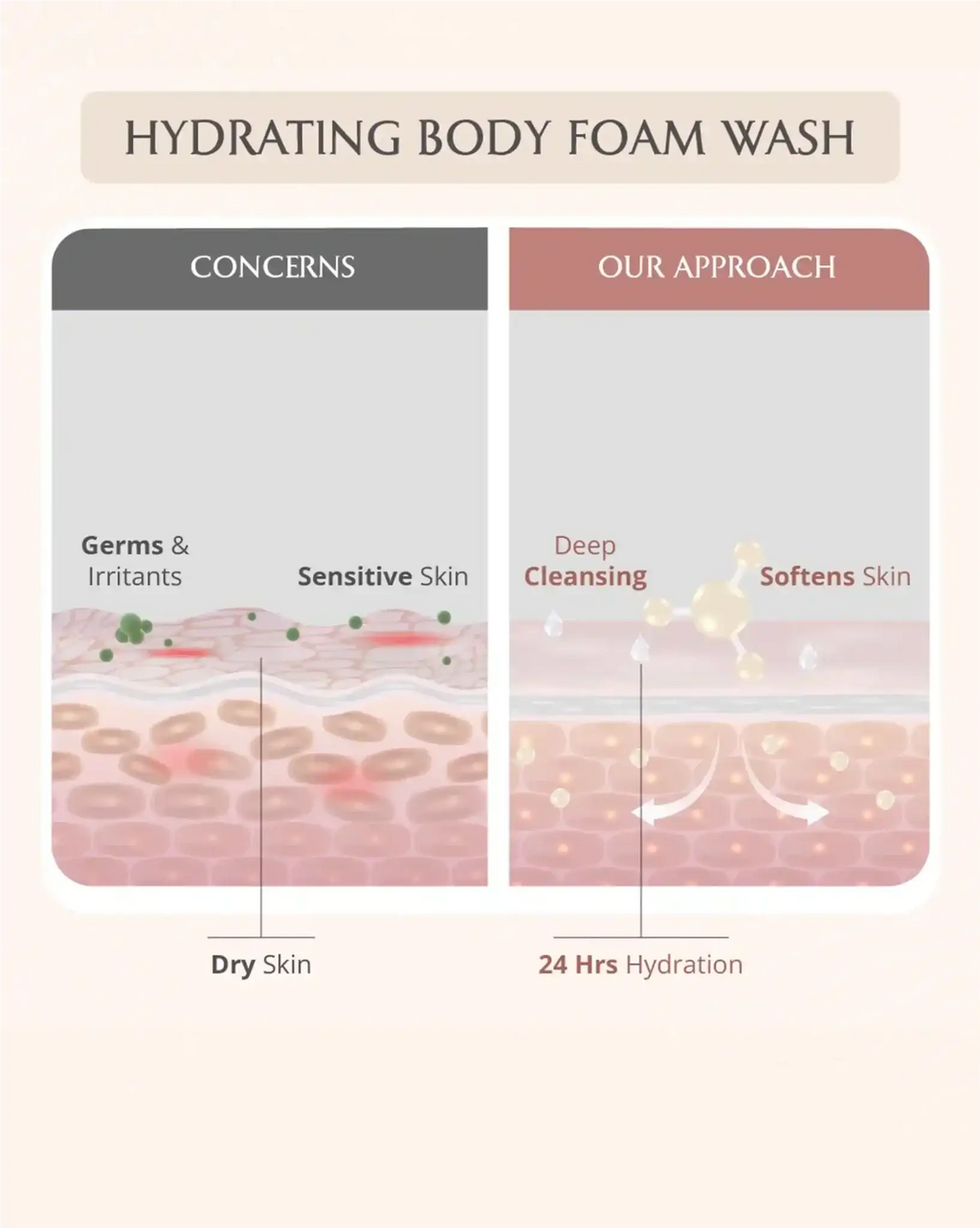 AreoVeda Skin Repair Bundle