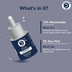 Dermistry Pure 12% Niacinamide 2% Zinc Serum
