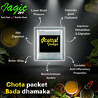 Sanskriti Magic Masala Bombay Biryani All-in-One Kit - Distacart