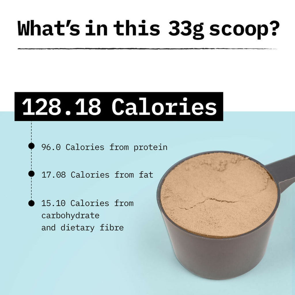 Only What's Needed 24g Whey Protein Concentrate Powder - Cocoa