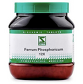 Dr. Willmar Schwabe India Ferrum Phosphoricum Biochemic Tablets