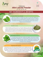 Spag Herbals Premium Mint Leaf Powder
