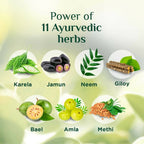 Baidyanath VANSAAR 45+ Diab Balance Juice - Distacart