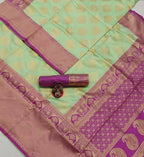 DEIANA'S Beautiful Designer Golden zari Soft Lichi Silk Saree - Pista
