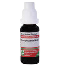 Adel Homeopathy Scrophularia Nod Mother Tincture Q