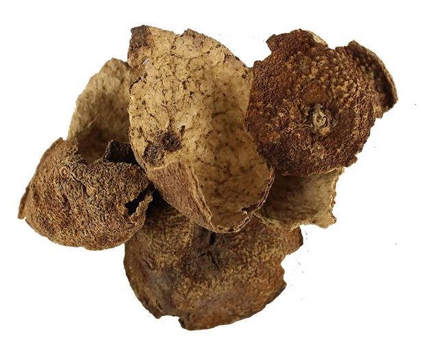Dark Forest Orange Peel Powder