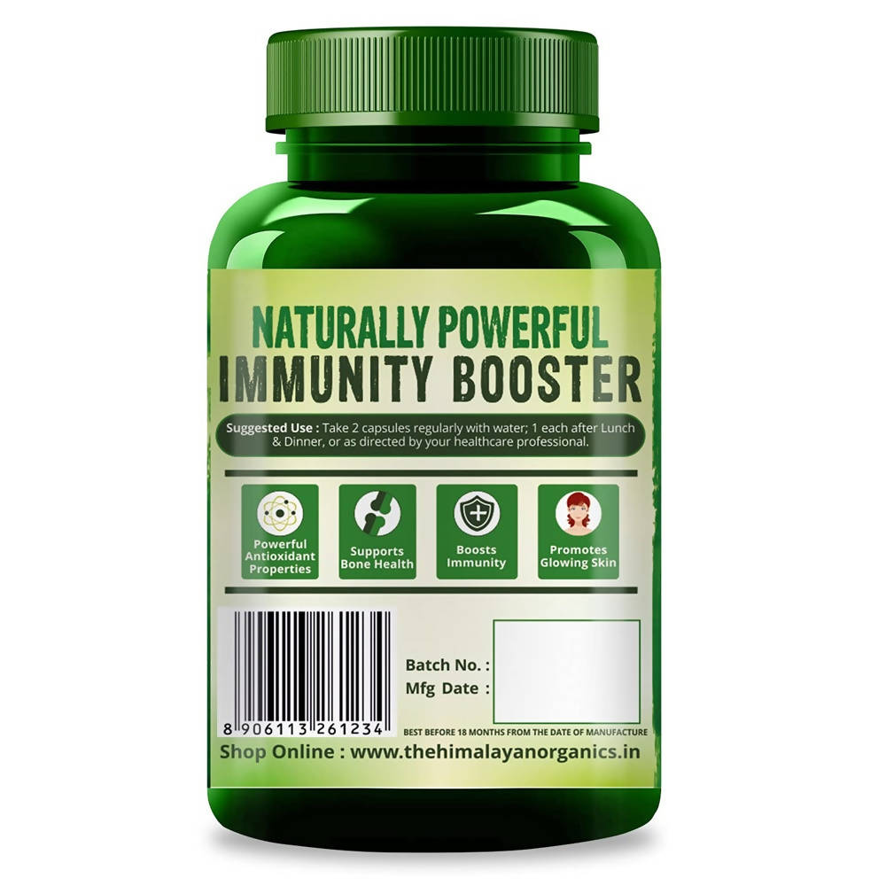 Himalayan Plant Based Vitamin C + Zinc Double Immune Support: 120 Vegetarian Capsules