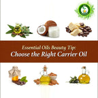 R V Essential Pure Cashew Nut Carrier Oil