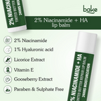 Bake 2% Niacinamide + Hyaluronic Acid Tinted Butter Brightening Lip Balm - Distacart