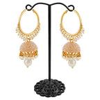 Gold-Plated Alloy Pearl Studded Round Hoop Jhumki Earrings - The Pari - Distacart