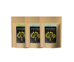 Dark Forest Immunity Booster (Giloy- Shatavari - Safed Musli)