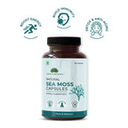 Saptamveda Irish Sea Moss 500mg Capsules - Distacart