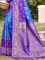 Shree Shyam Fashion Sky Blue Pochampally Silk Saree - Distacart