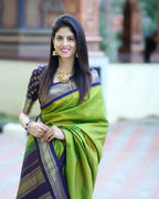 DEIANA'S Beautiful Designer Golden zari Soft Lichi Silk Saree - Mehndi
