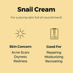Cosrx Advanced Snail 92 All In One Cream - Korean Skincare