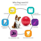 The Dogs Company Natural Rubber Spiked Ball Dog Chew Toy - Distacart