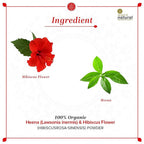 Khadi Natural Organic Henna & Hibiscus Flower Powder