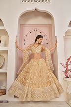 Eilara Women'S Beige Butterfly Net Thread Embroidered Work Designer Lehenga Choli