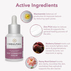 Be Soulfull 10% Niacinamide Spot Corrector Serum