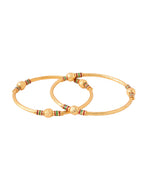 NVR Women Set of 2 Gold-Plated Traditional Bangles - Distacart