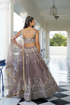 Eilara Glamorous Light Dusty Brown Butterfly Net With Thread And Sequins Embroidered Work Lehenga Choli