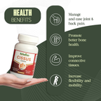 Rajasthan Herbals Cissus Capsules
