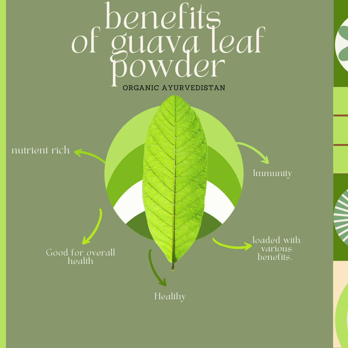 Organic Ayurvedistan Guava Leaves Powder - Distacart