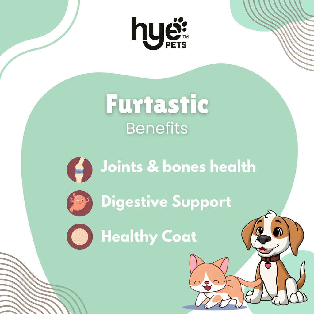Hye Pets Full Fat Goat Milk Powder For Pets