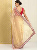 Teeya Creation Chiku Color Organza Silk Lace Work Saree