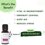 Mystiq Living Originals Lavender Essential Oil