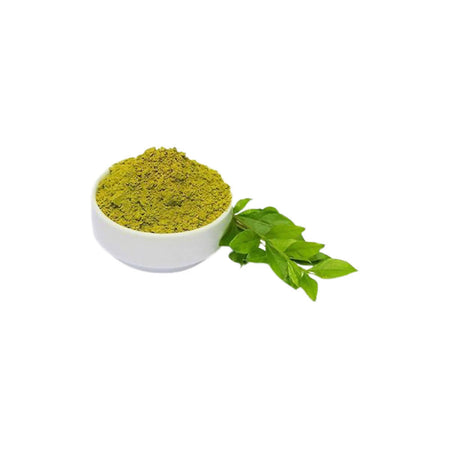 Ecoberry Henna Powder