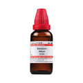 Dr. Willmar Schwabe India Santalum Album Dilution