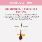 Alfaparf Milano Nutritive Shampoo For Dry, Frizzy Hair