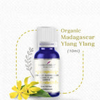 Dark Forest Organic Madagascar Ylang Ylang Essential Oil