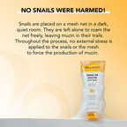 Bella Vita Organic Snail 99 Mucin Face Wash