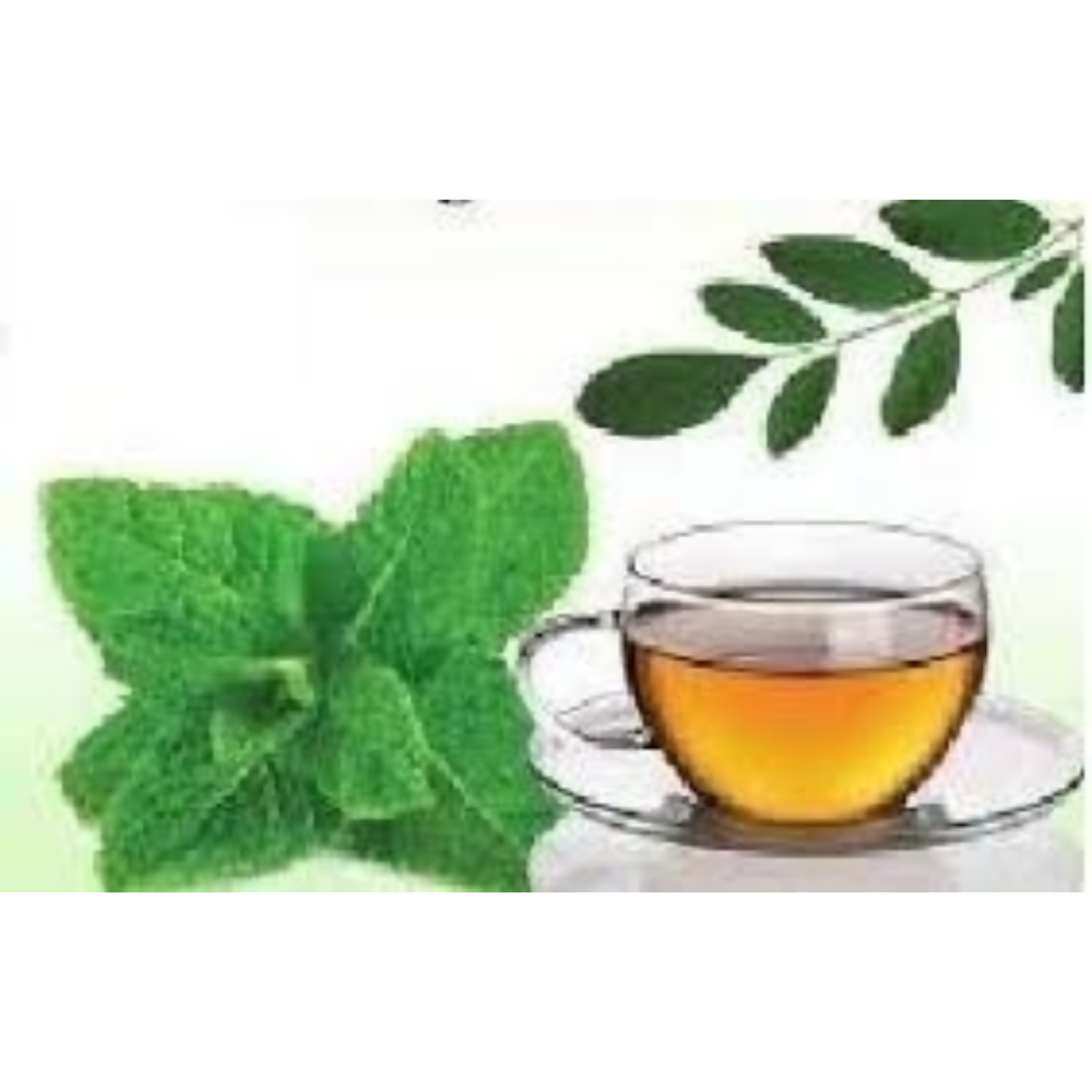 Nxtgen Ayurveda Moringa Peppermint Infusion