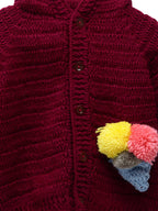 Chutput Kids Maroon Coloured Solid Pullover Sweater