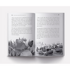 Pandit Vishnu Sharma's Panchatantra For Children - Distacart