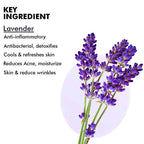 Inatur Lavender Hydrosol Floral Water