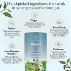 Wellbeing Nutrition Digest Green Tea - Distacart