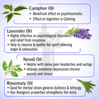 Keya Seth Aromatherapy Graine Out Natural Therapeutic Essential Oil