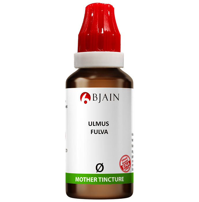 Bjain Homeopathy Ulmus Fulva Mother Tincture Q