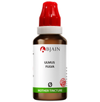 Bjain Homeopathy Ulmus Fulva Mother Tincture Q