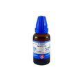 St. George's Homeopathy Agraphis Nutans Dilution