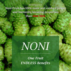 The Dave's Noni 24 Hour Oral Care Toothpaste