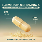 Rasayanam Plant Based Omega-3 Capsules - Distacart