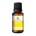 Korus Essential Turmeric Essential Oil - Therapeutic Grade - Distacart