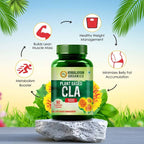Himalayan Organics Plant Based CLA 1000 Healthy Weight Management Vegetarian Capsules - Distacart